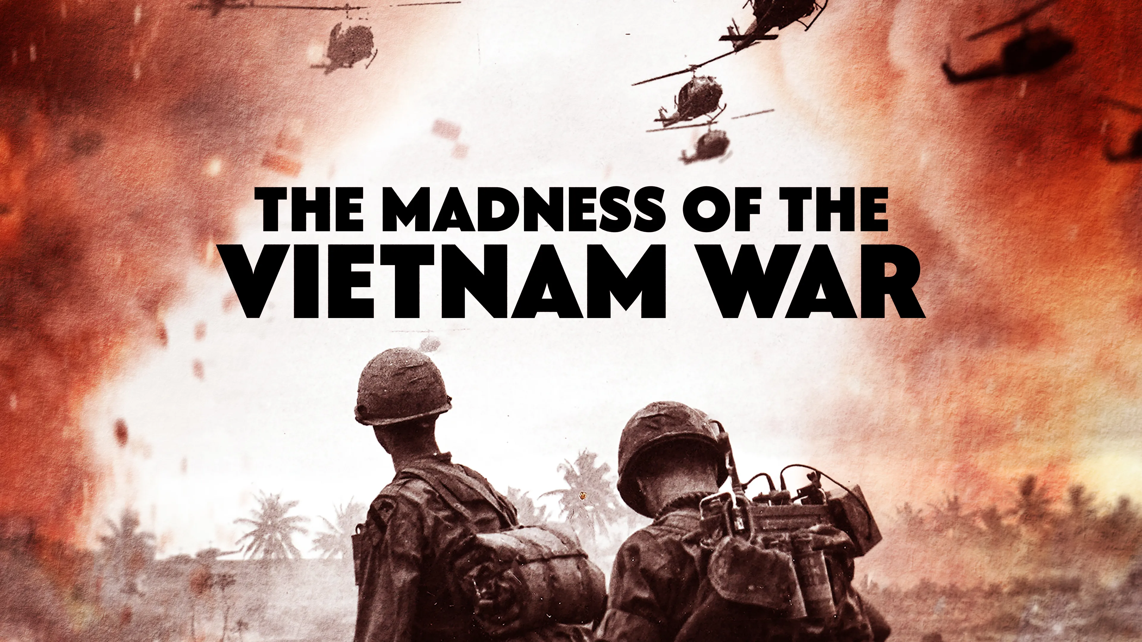 The Madness of the Vietnam War poster